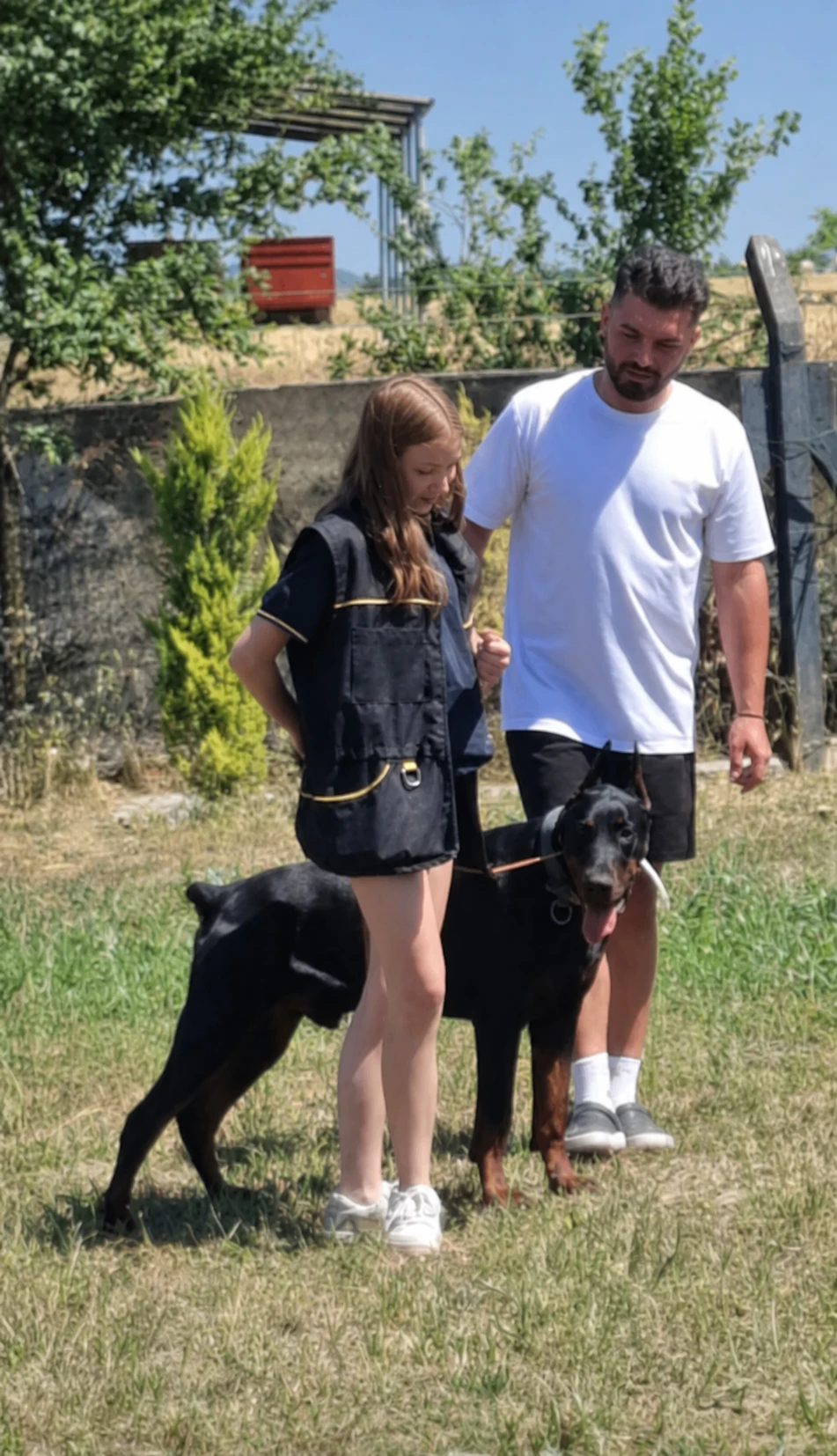 Milo isimli yavru köpek