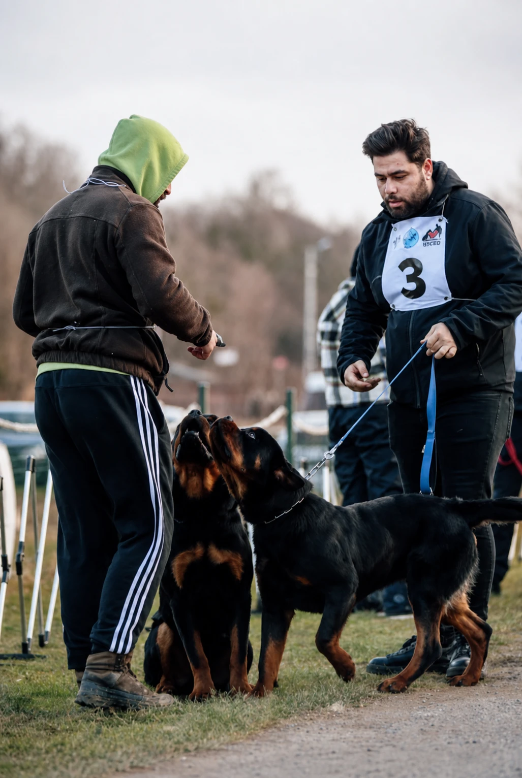 Köpek ve sahibi arasında iletişim